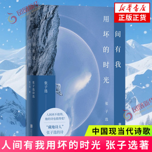 人间有我用坏的时光 藏地诗人张子选献给每一个在尘世中艰难跋涉的灵魂 现当代文学诗集 大冰保重一书万字长文盛赞 新华书店正版