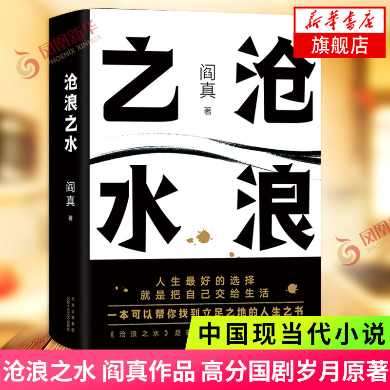 沧浪之水 阎真 高分国剧岁月原著 豆瓣8.5分 中国现当代小说正版书籍 凤凰新华书店旗舰店