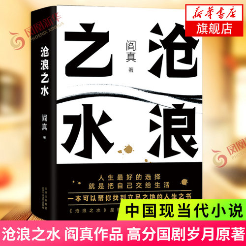 沧浪之水 阎真 高分国剧岁月原著 豆瓣8.5分 中国现当代小说正版书籍 凤凰新华书店旗舰店
