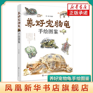 凤凰新华书店旗舰店 书籍 养好宠物龟手绘图鉴 乌龟疾病诊断治疗防治技术养殖技术书水龟半水龟陆龟养殖书宠物龟饲养正版