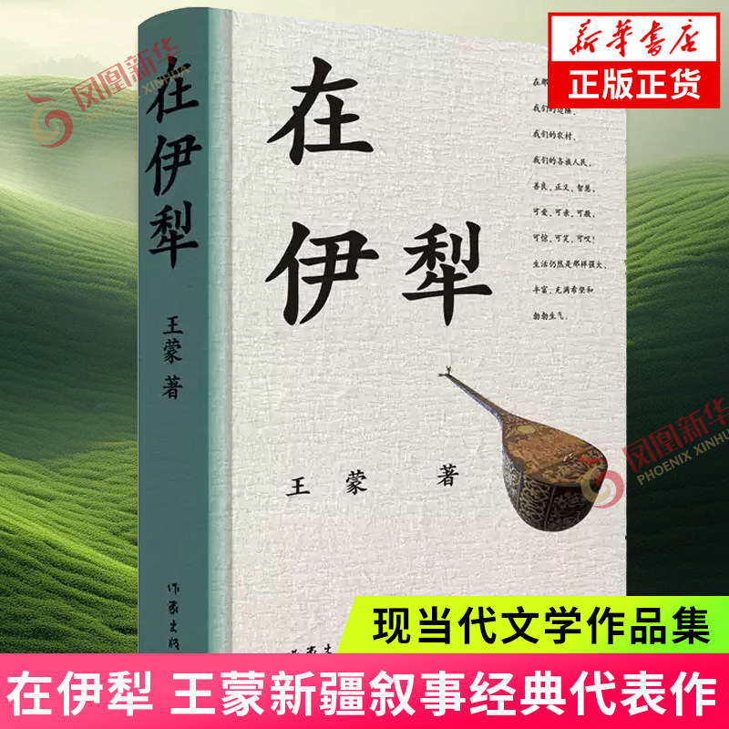 在伊犁 王蒙新疆叙事经典代表作 深入了解新疆伊犁多民族聚居地的地域风情民俗文化人文特色 现代文学小说随笔 凤凰新华书店正版