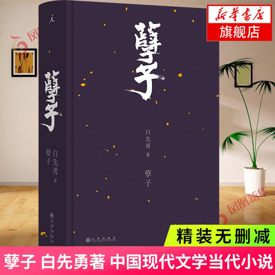 孽子 白先勇著 研悲情为金粉的歌剧 台北人 纽约客 现代当代文学 中国现代当代小说 长篇小说现当代短篇小说散文 正版