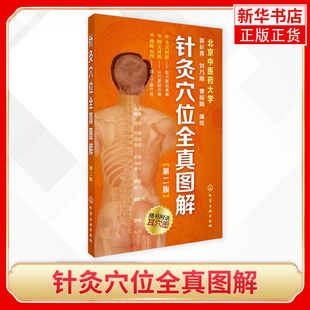 针灸穴位全真图解(第2版) 郭长青刘乃刚曹榕娟 真人拍摄与解剖图结合展示针灸穴位 并配有速记歌诀 帮助记忆【新华书店正版书籍】