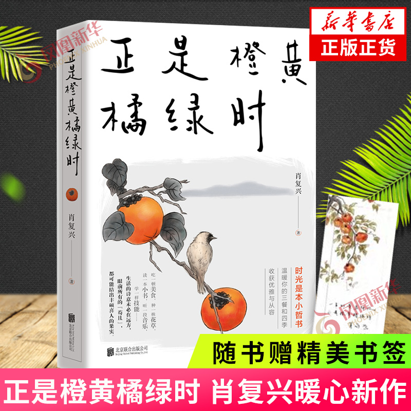 随书赠书签】正是橙黄橘绿时 肖复兴暖心新作 收录肖复兴不同时期创作的散文作品 文学散文作品集 人生小哲书 新华正版书籍 书籍/杂志/报纸 文学其它 原图主图