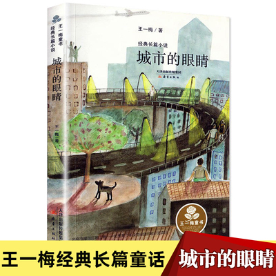 王一梅城市的眼睛长篇小说