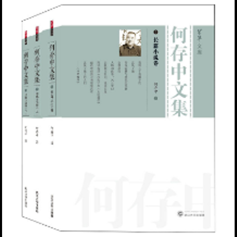 何存中文集(全3册)何存中外国随笔/散文集武汉大学出版社凤凰新华书店旗舰店