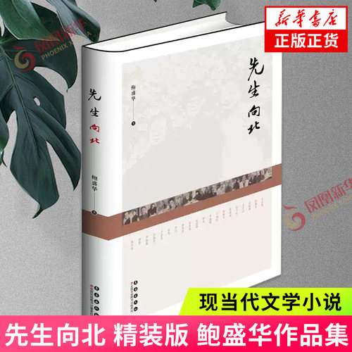 先生向北（精装版） 鲍盛华 著 长春出版社 正版书籍东北并非蛮荒之地，看过《先生向北》后 便知东北不但有文化还有先生