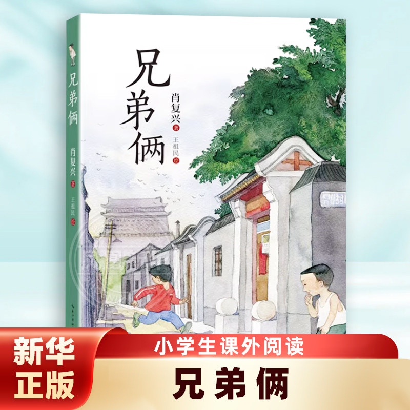 兄弟俩 9-15岁小学生一二三四五六年级初中生青少年课外阅读书籍儿童文学阅读读物 长江文艺出版社正版书籍【凤凰新华书店旗舰店】