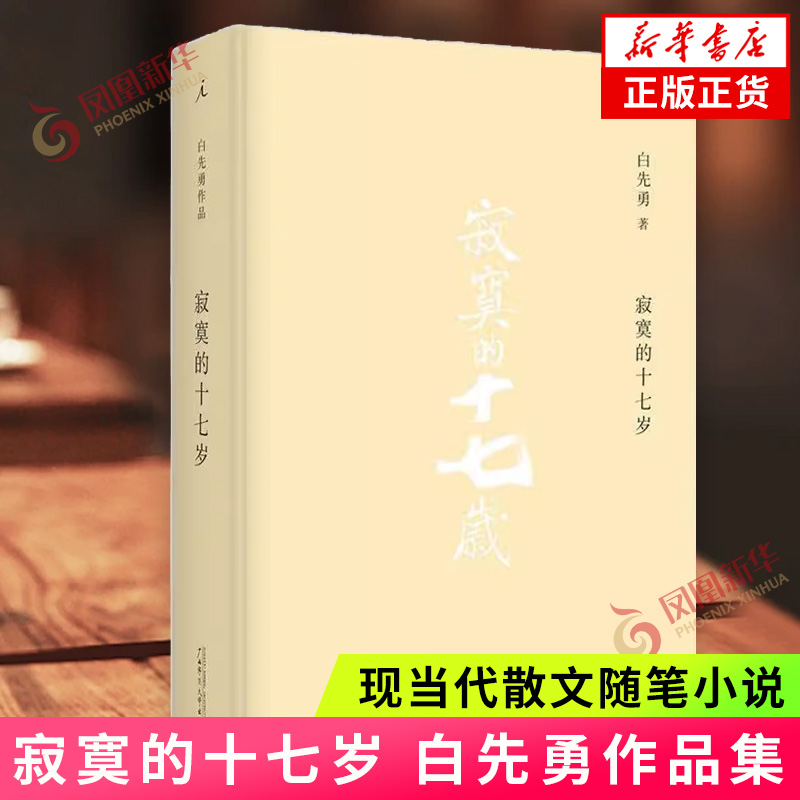 寂寞的十七岁白先勇作品集