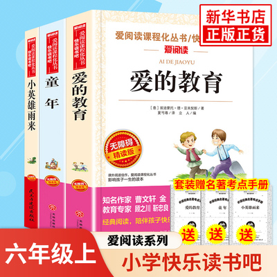 任选快乐读书六年级上册英雄雨来