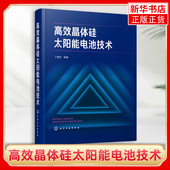 凤凰新华书店旗舰店正版 书籍 高效晶体硅太阳能电池技术丁建宁著 社 工农业技术能源与动力工程类书籍 化学工业出版