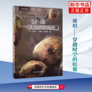 地球的生命故事 中国古生物学家的发现之旅 第二辑 璀璨远古 琥珀 穿越时空的胶囊 王博 罗慈航 许春鹏 黎家豪 著 新华正版书籍