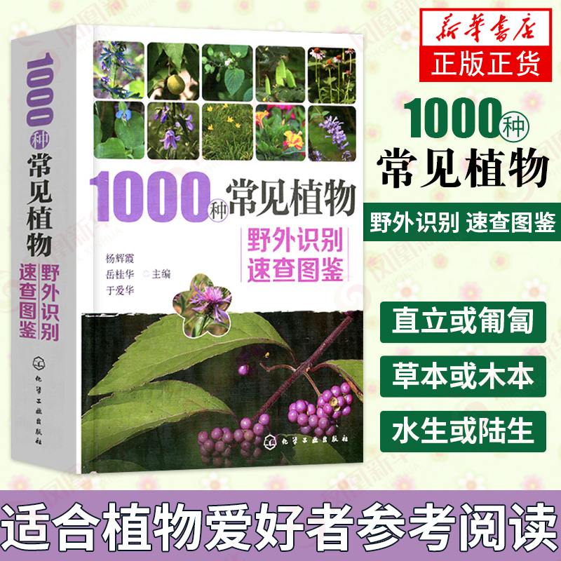 1000种常见植物野外识别速查图鉴 识别身边植物的百科全书 园林植物观赏花卉瓜果蔬菜 野外识别原植物鉴别 新华书店旗舰店正版
