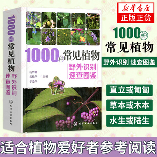 野外识别原植物鉴别 园林植物观赏花卉瓜果蔬菜 百科全书 1000种常见植物野外识别速查图鉴 新华书店旗舰店正版 识别身边植物