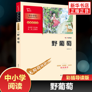野葡萄 智慧熊彩插励志版中小学生阅读指导丛书三四五六年级语文名著阅读 凤凰新华书店旗舰店3456年级必正版读物课外书南方出版社