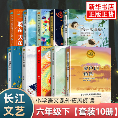 长江文艺小学语文六年级同步阅读