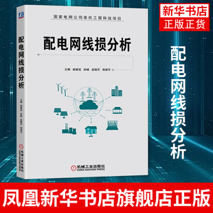 配电网线损分析 郝建成 配电网线损计算降损措施及台区线损分析方法 高等院校电气工程及其自动化农业电气化专业教材