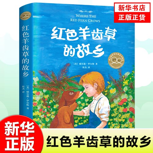 红色羊齿草的故乡 爱心树童书6-9-12岁少儿童成长励志课外故事书 儿童文学短篇小说青少年动物小说 凤凰新华书店旗舰店