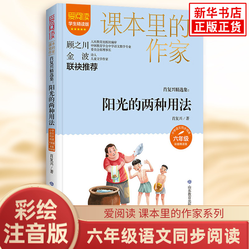 肖复兴精选集:阳光的两种用法彩绘注音版 小学生六年级语文同步阅读