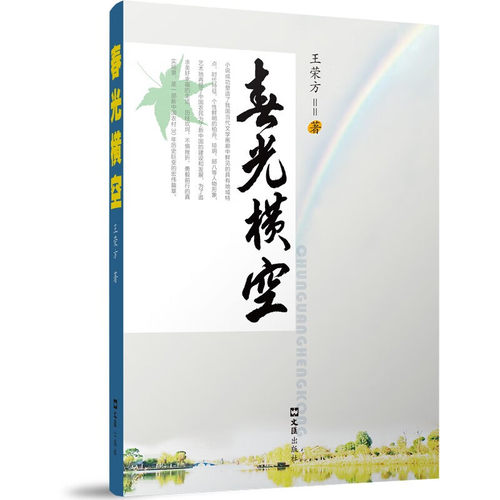 春光横空 王荣方著 现当代长篇小说 文汇出版社 新华正版书籍