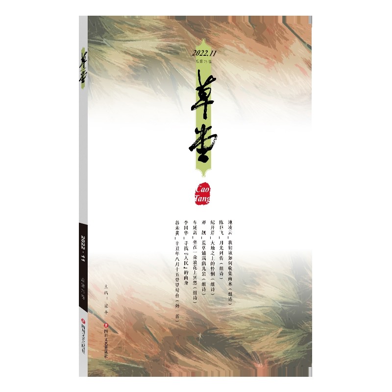 草堂(2022.11)(总第75卷)主编梁平中国现当代诗歌四川文艺出版社凤凰新华书店旗舰店
