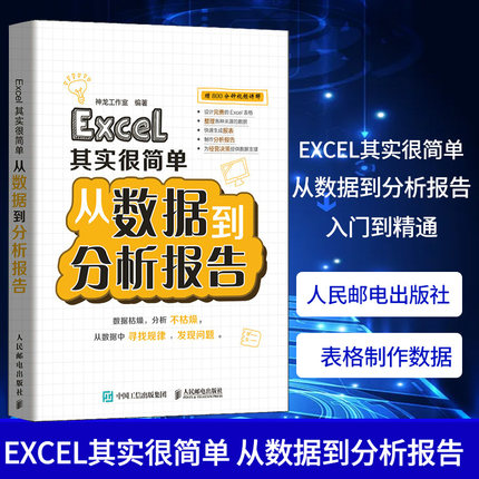 Excel其实很简单 从数据到分析报告 入门到精通数据处理与分析教程书籍 函数公式大全表格制作数据透视表办公软件教程