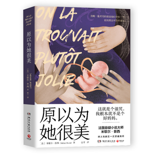 原以为她很美 法国悬疑小说大师米歇尔 普西对人性的再次灵魂拷问 颠覆读者认知的犯罪悬疑小说  湖南文艺出版社 凤凰新华书店正版