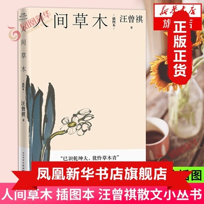 人间草木（插图本【汪曾祺散文小丛书】钤印本汪曾祺经典谈草木虫鱼 赠藏书票 散文二十万字画作32副生前手绘插图 人民文学出版社