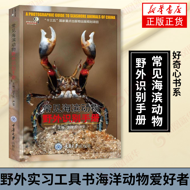 常见海滨动物野外识别手册野外实习工具书海洋动物爱好者生态摄影爱好者图文并茂的自然读物【凤凰新华书店旗舰店】