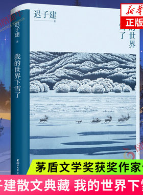 我的世界下雪了 朋友们来看雪吧 迟子建散文典藏系列 茅盾文学奖得主迟子建散文自选集 中国现当代文学散文随笔 新华书店正版书籍