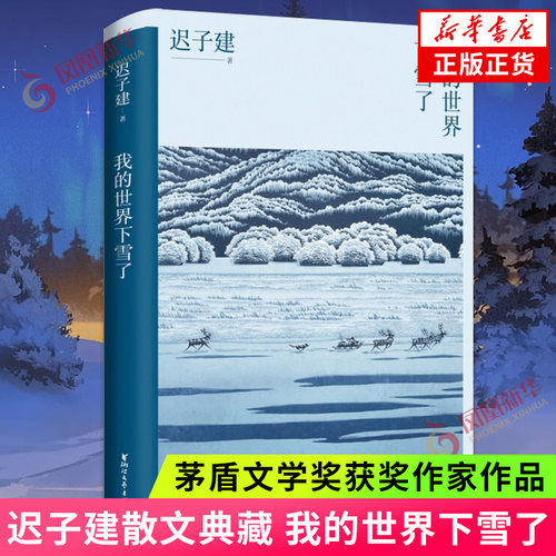 我的世界下雪了 朋友们来看雪吧 迟子建散文典藏系列 茅盾文学奖得主迟子建散文自选集 中国现当代文学散文随笔 新华书店正版书籍