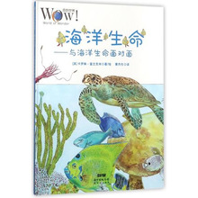 海洋生命 与海洋生命面对面 WOW奇妙5-6-7-8岁儿童认识奇妙趣味百科丛书 学前一二三年级小学生孩子课外科普读物 新华正版