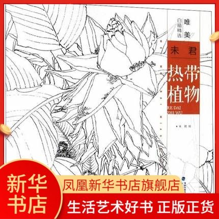 集 白描画稿工笔画白描底稿勾线写生素描凤凰新华书店旗舰店正版书籍