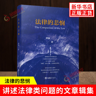 法律的悲悯 洪流著 一部讲述法律类问题的文章辑集一个法律从业者的视角对接办的案件进行深层次分析 文汇出版社 新华书店正版书籍