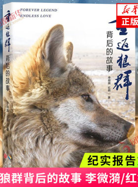 重返狼群背后的故事 李微漪 红娟著 一部人狼情未了 呈现重返狼群背后的感人故事 纪实报告文学 凤凰新华书店正版书籍