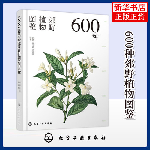600种郊野植物图鉴 胡琳 唐义富 单丹丹  等著 植物 树形枝叶植物花卉种子观察图鉴 化学工业出版社 凤凰新华书店旗舰店