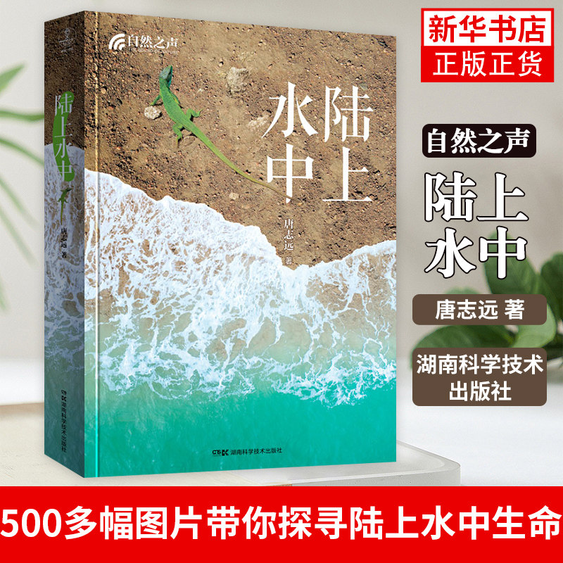 自然之声:陆上水中 地理御用自然摄影师用500多幅精美图片带你探寻陆上水中的生命 正版书籍凤凰新华书店旗舰店
