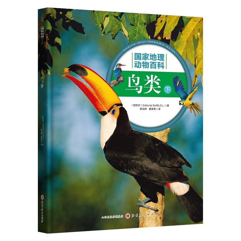 鸟类 下 （精装）Editorial so190,s.L.（西班牙）科普读物其它山西人民出版社凤凰新华书店旗舰店