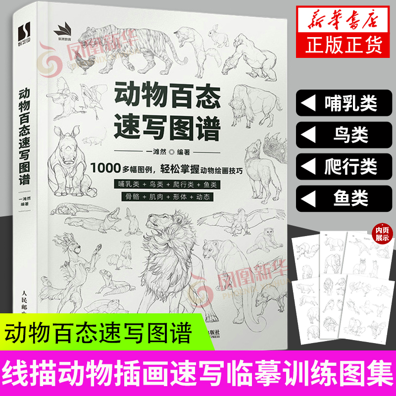 动物百态速写图谱动物速写描摹本新手自学教程书籍速写书速写临摹范本线稿临摹画册美术技法训练新华书店官网