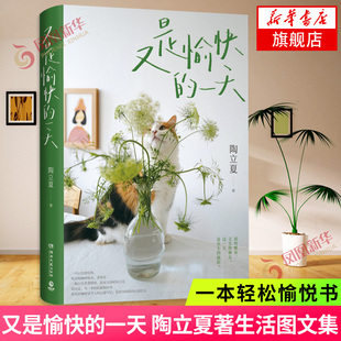 又是愉快的一天 陶立夏著生活图文集 此刻的温柔生活的比喻生活图文学文集 阐述不同结束和开始 一本轻松愉悦书现代文学散文随笔