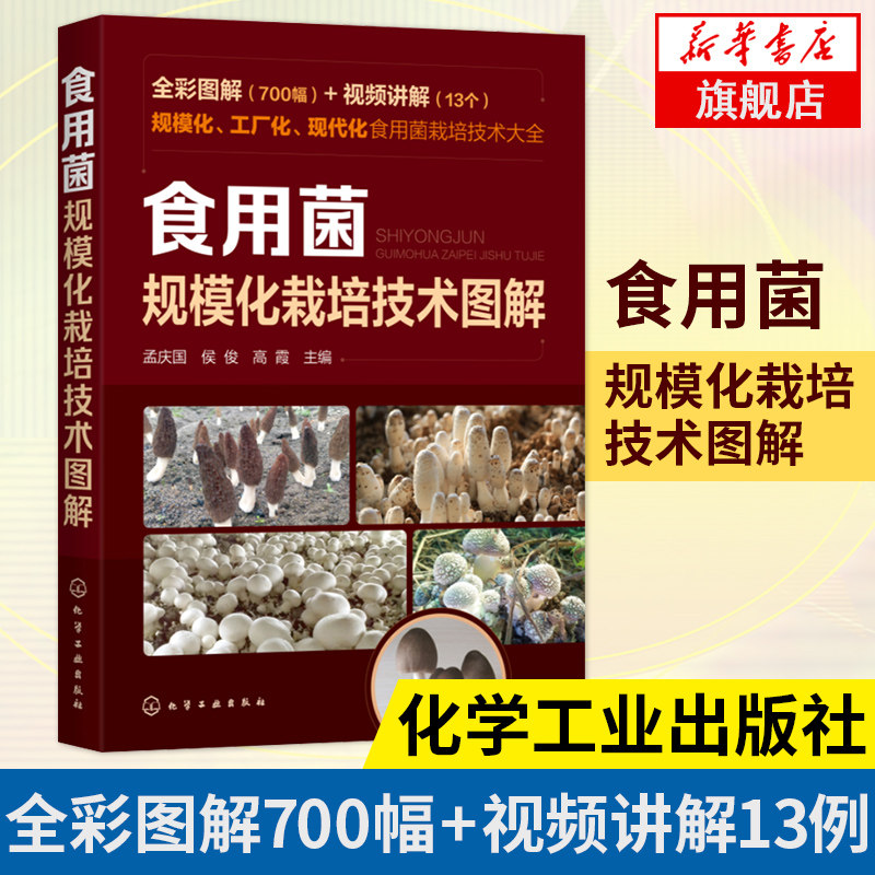 食用菌规模化栽培技术图解700幅 食用菌工厂化栽培食用菌规模栽培 鸡腿菇球盖菇 食用菌病害防治食用菌规模化农业推广人员参考书籍怎么样,好用不?