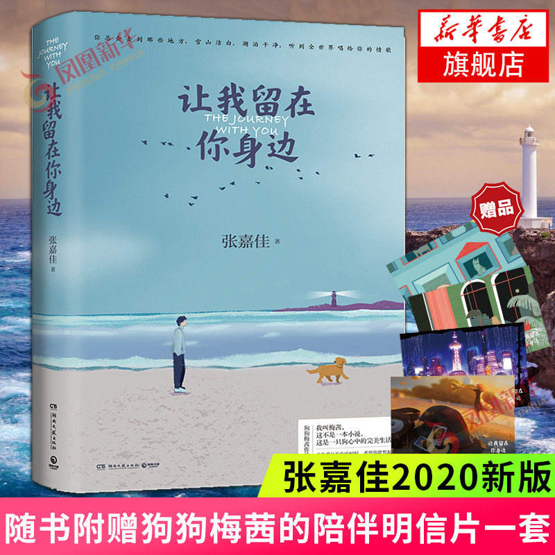 张嘉佳2020新版 修订增补3万字10个故事狗狗梅茜暖心故事集 文学短篇