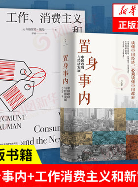 本套置身事内工作消费主义穷人