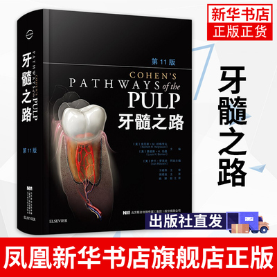 牙髓之路(第11版)牙髓治疗并发症的处理口腔科学书籍医学类专业书籍牙科牙髓治疗根管治疗图谱牙体牙髓病学临床牙髓再生技