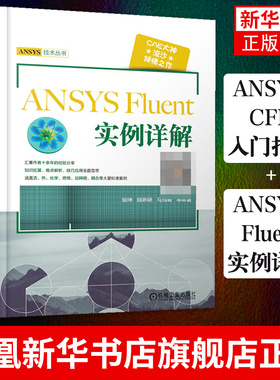 流沙CAE ANSYS CFD 入门指南计算流体力学基础及应用+ansys fluent实例详解共两本ansys教程书籍计算机与互联网 辅助设计 书籍