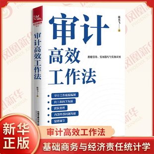 审计高效工作法 陈英飞著 监盘抽查会计凭证 常见审计抽样方法 审计底稿中几种常见的分析程序等 中国铁道出版社 新华书店正版书籍