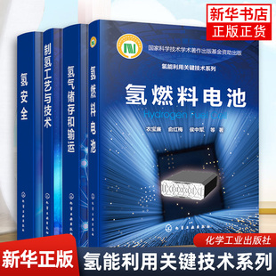 氢燃料电池 制氢工艺与技术 氢安全 制氢工艺技术书籍 氢能利用关键技术系列 氢气储存和输运 氢气生产利用过程中安全原理策略