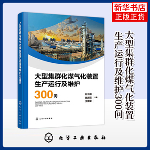 大型集群化煤气化装置生产运行及维护300问赵元琪、陈鹏程、王国梁 主编机械工程化学工业出版社凤凰新华书店旗舰店