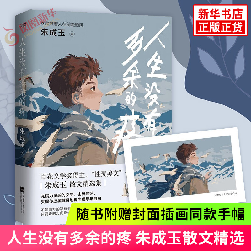 人生没有多余的疼 朱成玉散文精选集 现当代文学散文集中小学生课外阅读书籍拓展阅读作文文笔提升 新华书店旗舰店正版书籍