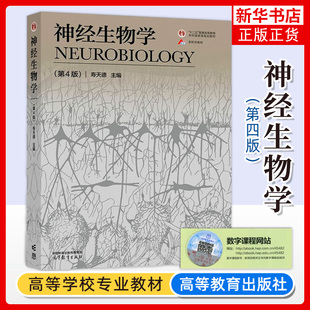 正版 神经生物学 第4版第四版 寿天德 高等教育出版社 高等院校生物科学生物技术信息科学医学专业神经生物学大学本科考研教材教程